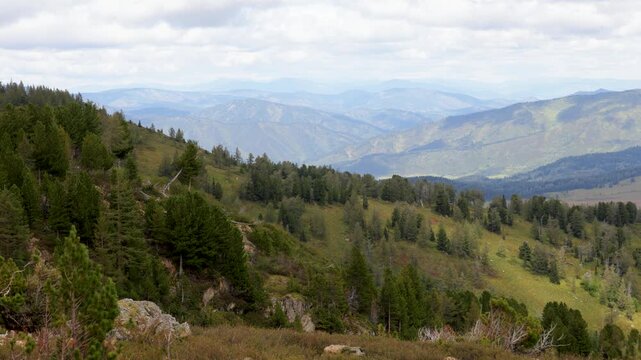 Beautiful summer mountain landscape. Altai, Russia