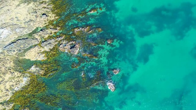 Drone aerial landscape of waves breaking along rocky boulders covered in seaweed with clear reef ocean sandbar floor along coastline headland in Batemans Bay Australia travel tourism holidays nature