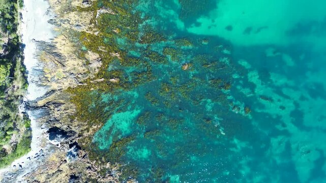 Drone aerial landscape of clear ocean reef cove with seaweed covering rocky boulders and local walking trails at Surf Beach town headland coastline in Batemans Bay Australia travel tourism holidays