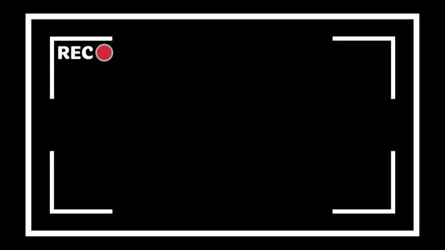 4K Minimal Camera Viewfinder Frame Recording Screen Interface Overlay with Alpha Channel and Blinking REC Indicator 4k video animation seamless loop