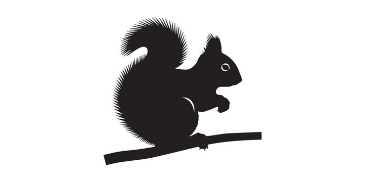A collection of black squirrel silhouettes in various dynamic and static poses, isolated on a transparent background. Cute cartoon vector illustration of a black squirrel silhouette with a nut on a