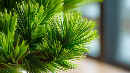 Macro of green pine needles on branch