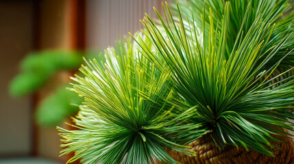 Macro palm plant with green spiky fronds