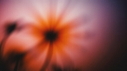 Abstract floral composition featuring blurred orange and purple hues, creating a dreamy atmosphere with soft shapes and gentle gradients, ideal for artistic and creative projects