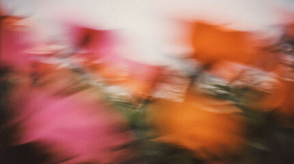 Abstract floral composition featuring vibrant pink and orange hues, with blurred petals creating a dreamy atmosphere, evoking feelings of tranquility and beauty in nature's palette