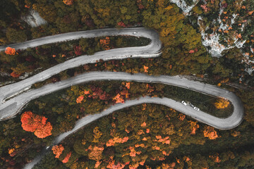 Aerial view of a winding road cutting through a vibrant tapestry of autumn foliage, where the cool gray asphalt contrasts with the warm hues of the trees, Subiaco, Lazio, Italy.