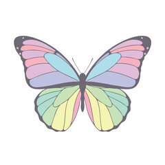 A symmetrical butterfly with pastel colored wings against a white background