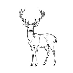 Elegant Silhouette Majestic Stag | Clean, isolated vector art for creative projects.