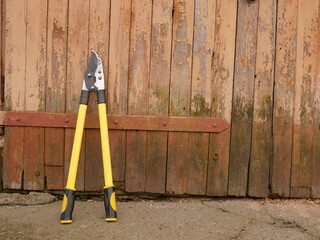 Garden loppers with long yellow handles leaning against old wooden doors.