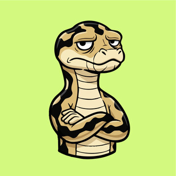 Grumpy cartoon python character with arms crossed illustration