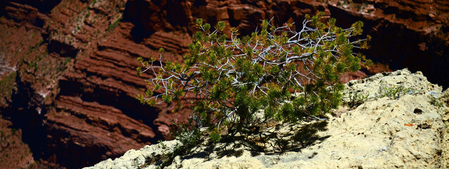 Hazy Sky Day At The Grand Canyon Arizona