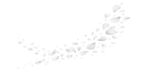 Abstract music background vector design with blue liquid wave splash and snowflake decoration. Falling rose petals with soft shadows