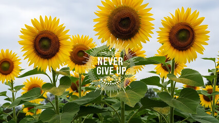 Sunflowers With "Never Give Up" Message