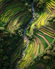 Top-Down Aerial View of Winding River Through Green Rice Terraces