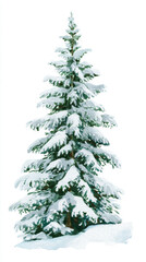 Fototapeta premium Snow-covered pine tree watercolor illustration isolated on white background, green evergreen for Christmas holiday design