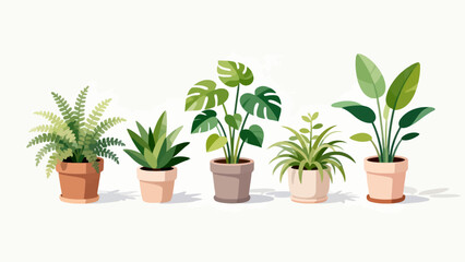 Obraz premium Five potted plants in a row