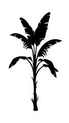 Green plant seedling or small tree in a pot, a spring nature ecology growth illustration concept icon