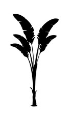 Green plant seedling or small tree in a pot, a spring nature ecology growth illustration concept icon