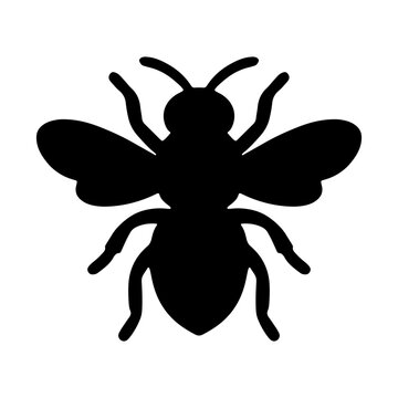 Bee silhouette vector, honeybee clipart icon