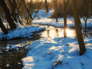 Forest stream in winter is illuminated by golden sunlight. Spring flows between trees in a snowy forest at sunset.