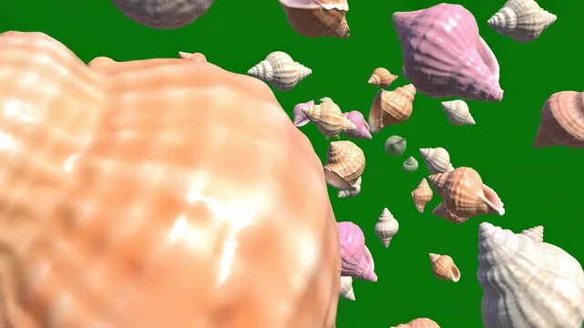 Isolated three-dimensional animation of various sized conch shells floating and rotating in a seamless pattern against a vivid chroma key green background visual effects, keyable footage, sea elements
