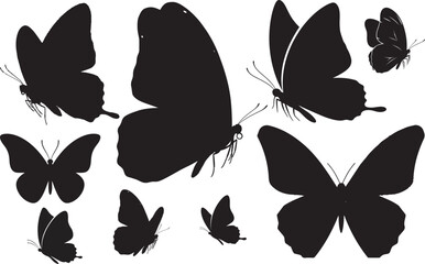 Silhouette of various butterfly shapes isolated on transparent background © Mahmud