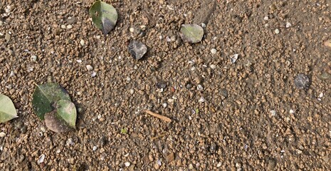 river textured detail gravel path, revealing individual grains and pebbles rustic outdoor setting. textured surface beauty natural elements. authentic look and feel