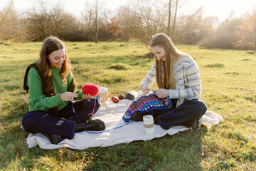 Two friends sit on a blanket in a lush green field, enjoying a sunny afternoon. They are engaged in crafting, knitting colorful designs while surrounded by nature&rsquo;s beauty.