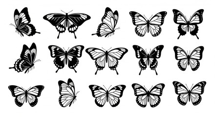 Modern butterfly vector collection with clean silhouette designs