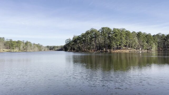 Ivy Lake at Clarkco State Park, Mississippi, USA. The lake is surrounded by pine forest.