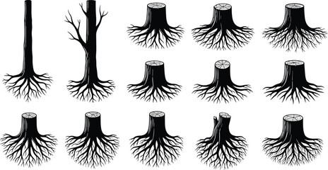 Tree Trunk And Stump Vector Silhouette Set Featuring Exposed Roots Cut Timber Dead Wood Logging Forestry Elements And Environmental Nature Icons © Nusaiba's World