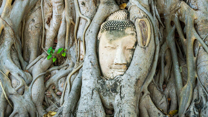 Ancient Buddha head entwined in tree roots at historic temple ruins