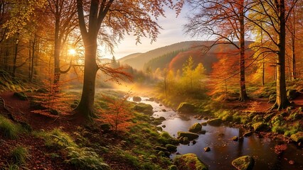 Serene Autumn Forest with Stream at Sunset.