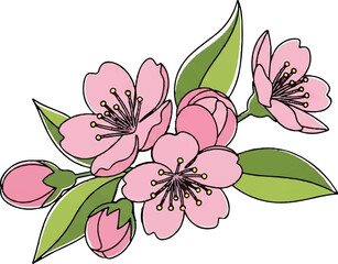 Delicate pink blossoms and green leaves watercolor illustration