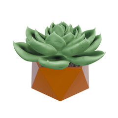 A green succulent plant in a modern orange geometric pot