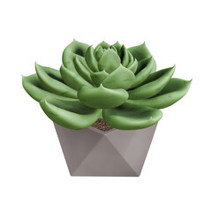 A green succulent plant in a modern gray geometric pot