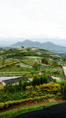Obraz premium Beautiful mountains and plantation land in Magelang, Indonesia