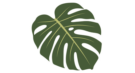 Single green monstera leaf with iconic holes isolated on a white background for tropical nature and plant themes.