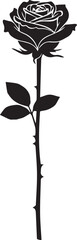 Elegant black silhouette of a single rose on a white background