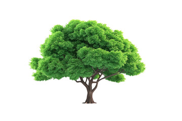 Green Leafy Tree with Brown Trunk and Branches graphic design