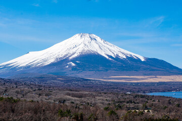 山中湖明神山パノラマ台から望む雪化粧の富士山