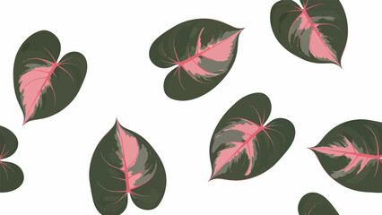 Pink Variegated Leaves on White Background. © Amir