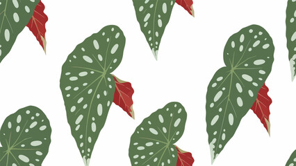 Adansonii Leaves with Red Flowers Pattern. © Amir