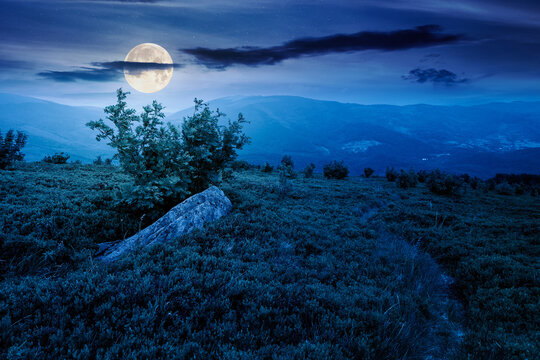 hiking trail through mountain landscape at night. mountains under sky with clouds in full moon light. scenery with green grass and rolling hills. questionable finance investment or abstract concepts