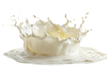 White liquid splash forming crown shape with droplets against black milk fluid