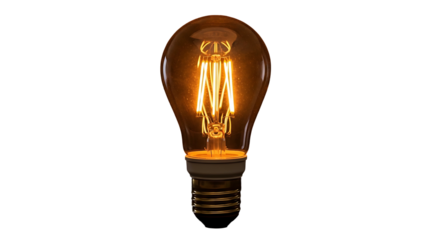 Vintage Edison LED Light Bulb Amber Glass.