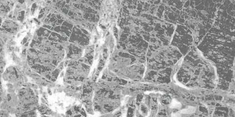 Close-up grayscale abstract texture resembling cracked marble or stone with intricate veining and irregular patterns for backgrounds