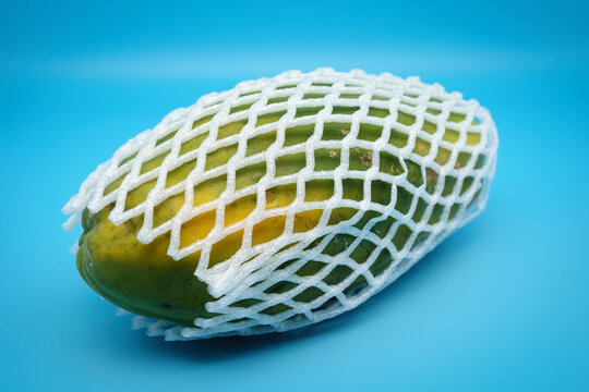 Eine reife Papaya (Carica papaya) in einer Netzh&uuml;lle zum Schutz der Frucht in Nahansicht vor blauem Hintergrund