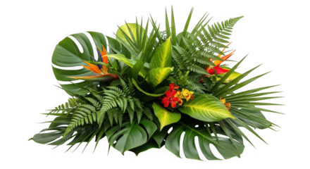 A lush arrangement of tropical foliage and exotic flowers, of transparent