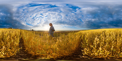 Wheat field sunset young girl wanders through a golden field of grain under a dramatic sky at dusk
